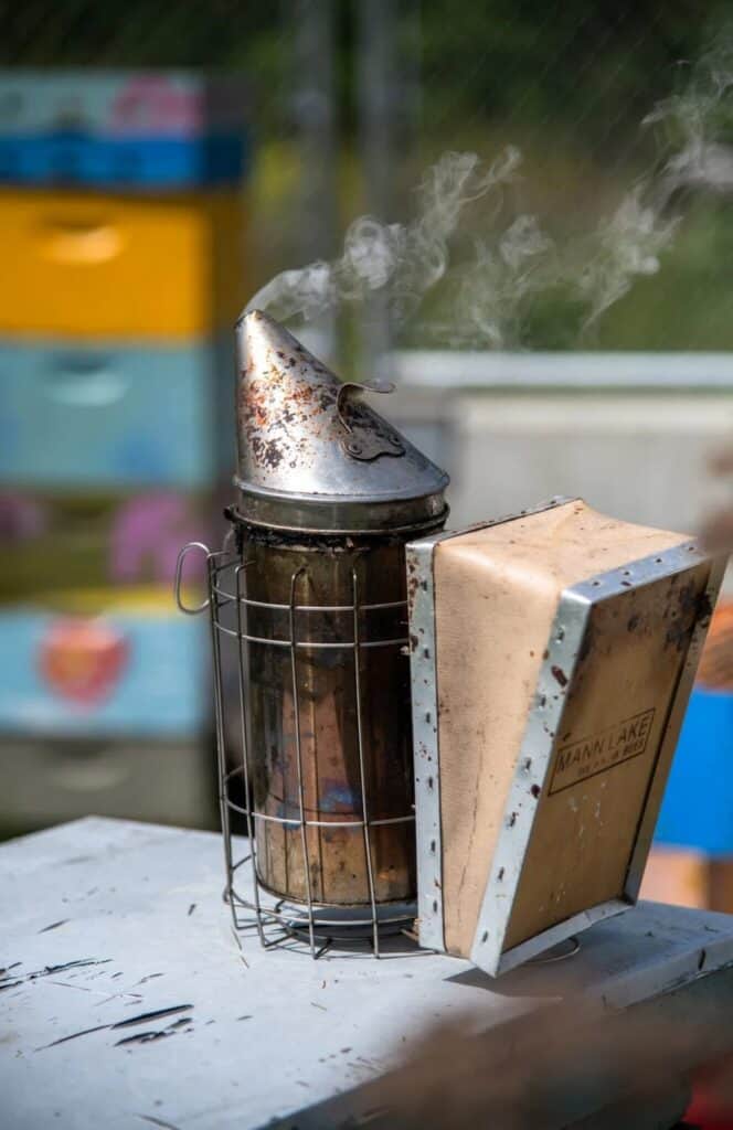 A metal bee smoker emitting smoke sits on a table outdoors, with colorful beehives visible in the blurred background.