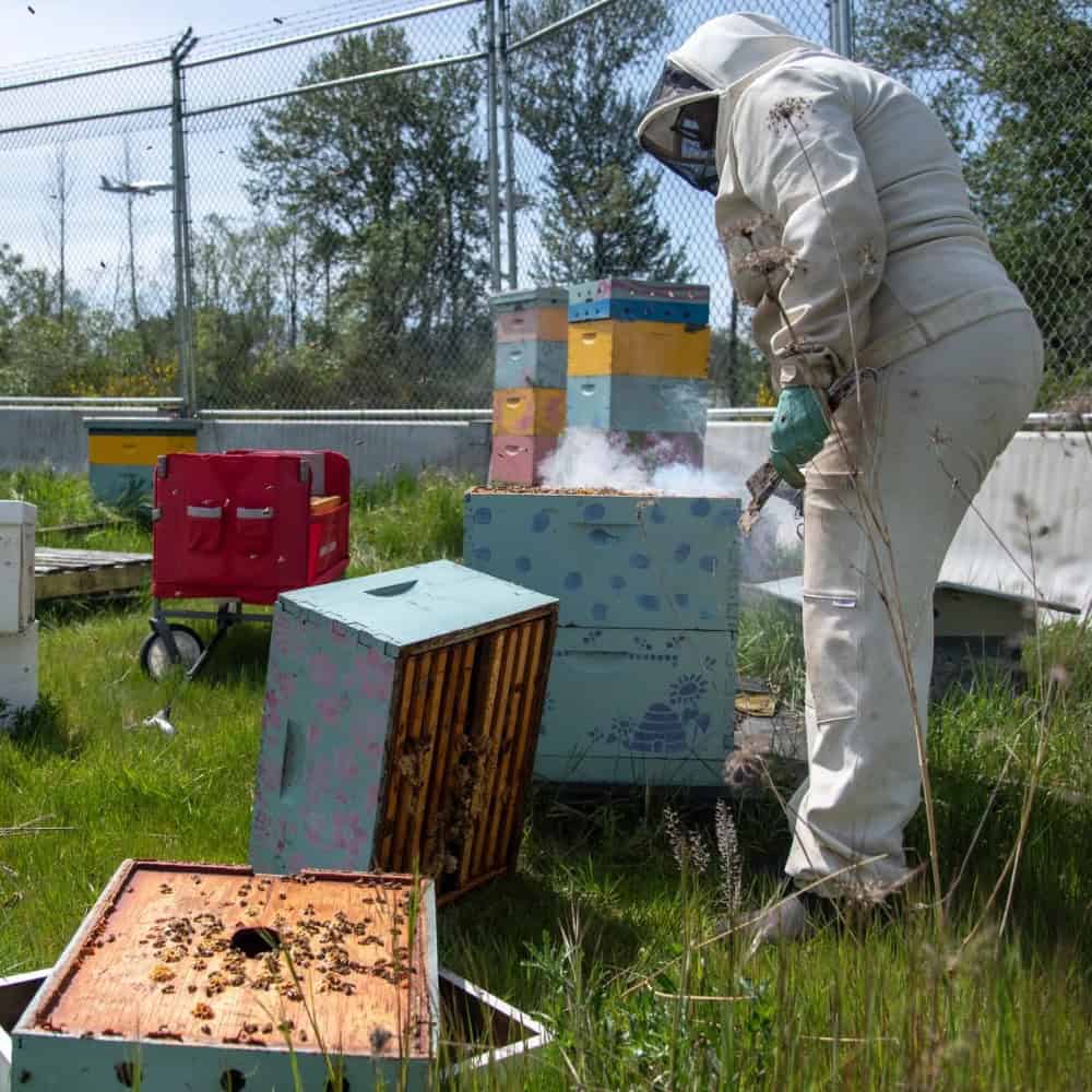 Photo Essay: Where Bees Take Flight
