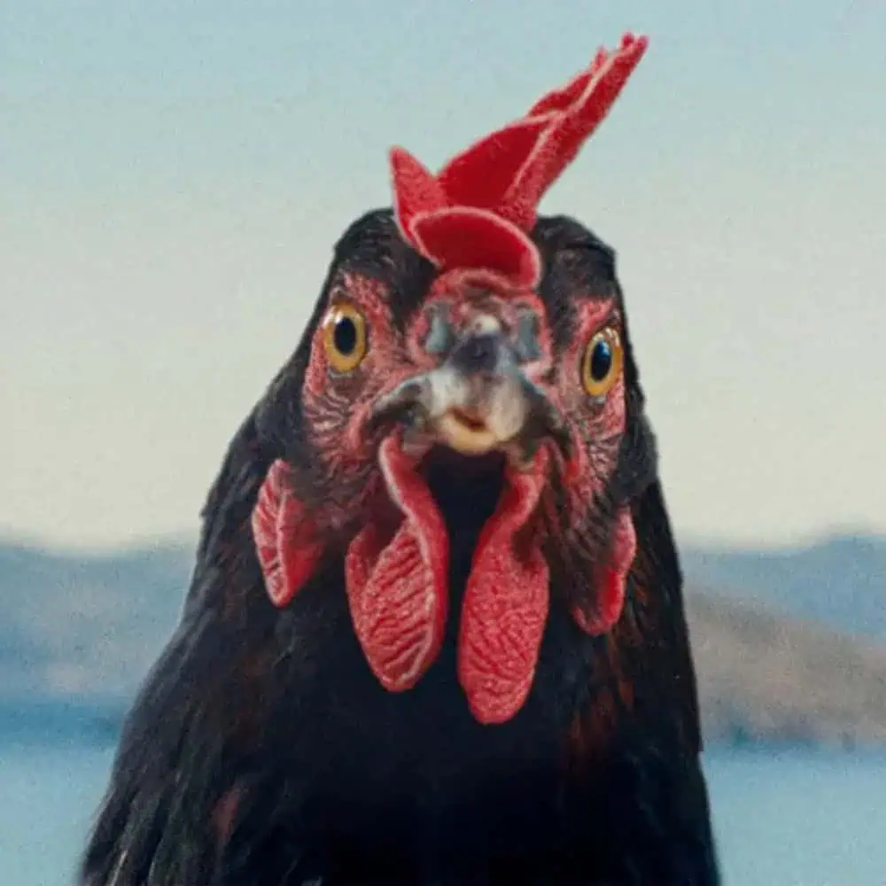 15 SIFF Movies to Put on Your List