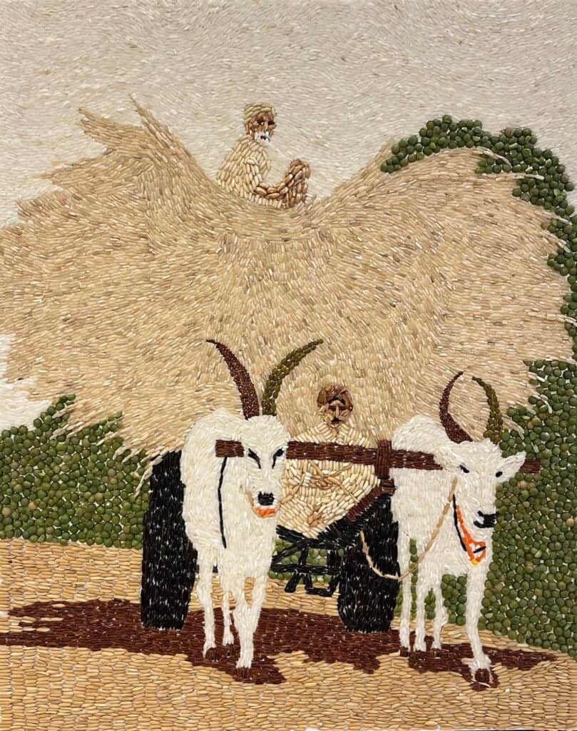 Two white oxen pull a wooden cart loaded with hay, carrying two people, against a backdrop of green bushes under a clear sky.