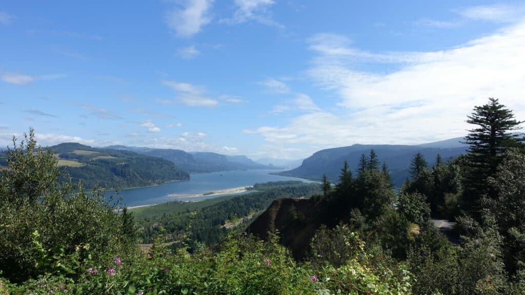 View of the wide Hood River winding through a forested valley with mountains on both sides under a partly cloudy sky. Shrubs and trees are visible in the foreground—sometimes, no plan is the best plan to enjoy nature’s beauty.