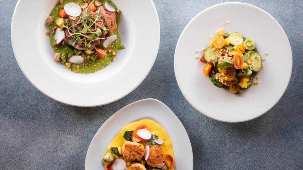 Three white plates on a gray surface, each with a different dish: seared meat with greens, a mixed vegetable salad, and seared scallops with vegetables and sauce.