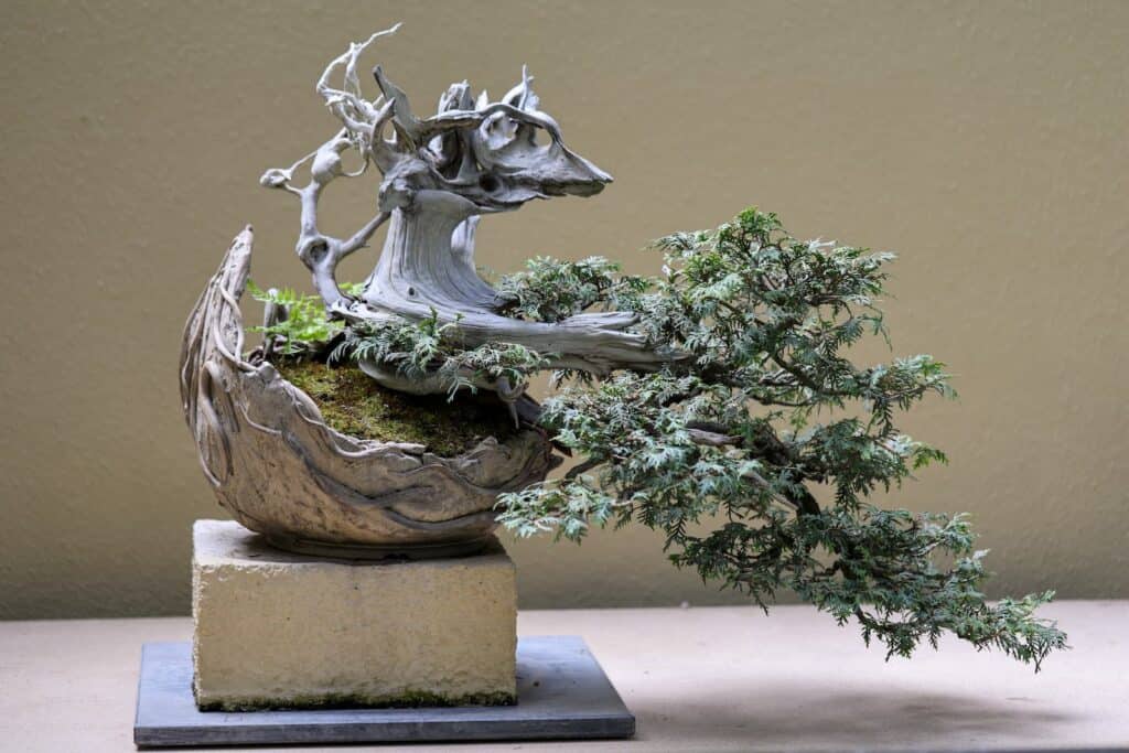 A bonsai tree in a sculpted pot with driftwood shaped like a stag's head, displayed on a rectangular stone base against a plain background.