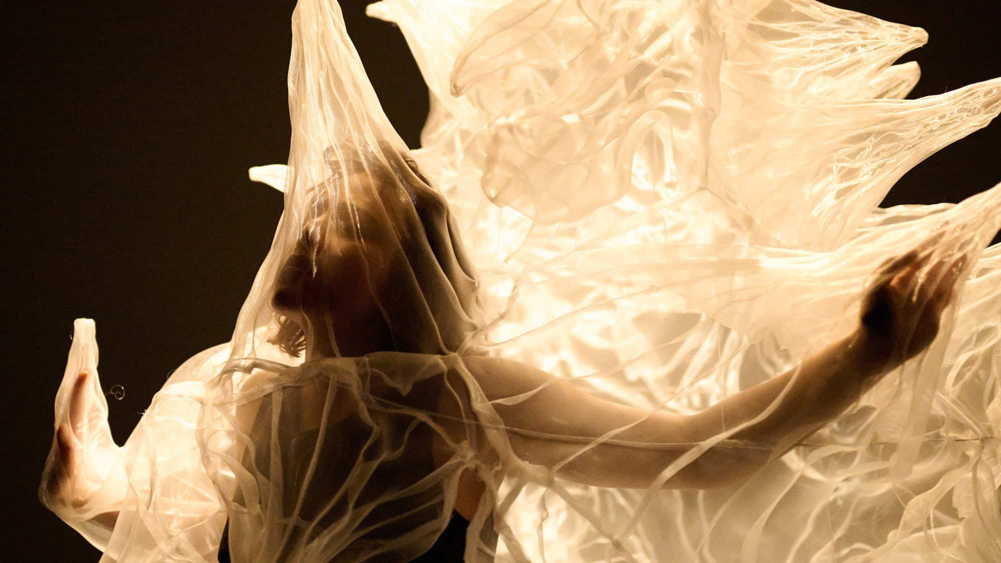 A person stands with arms raised, partially obscured by a sheer, flowing fabric illuminated dramatically from behind.