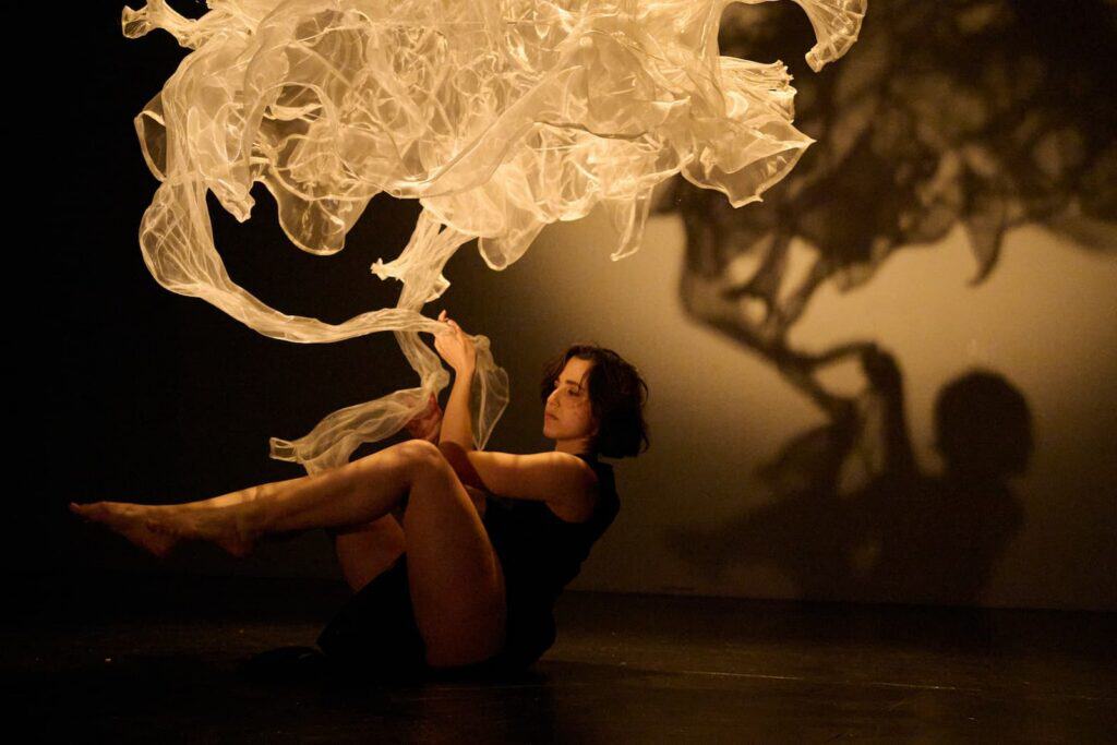 A person in a black outfit sits on the floor, holding sheer fabric suspended above, casting intricate shadows on the wall behind them.