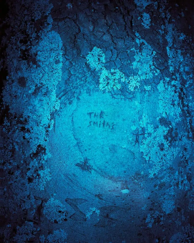 Tree trunk with lichen illuminated in blue light; "The Smiths" is carved into the bark at the center.