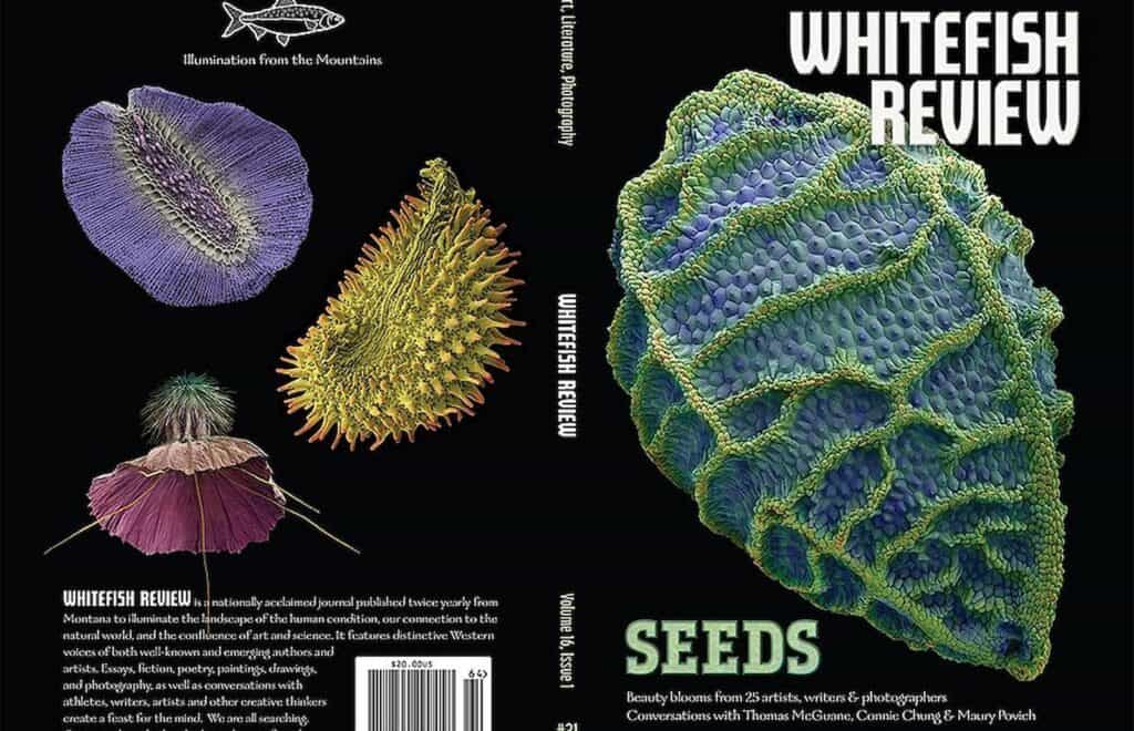 The cover of Whitefish Review magazine’s "Seeds" issue, featuring close-up photographs of colorful, detailed seeds against a black background.