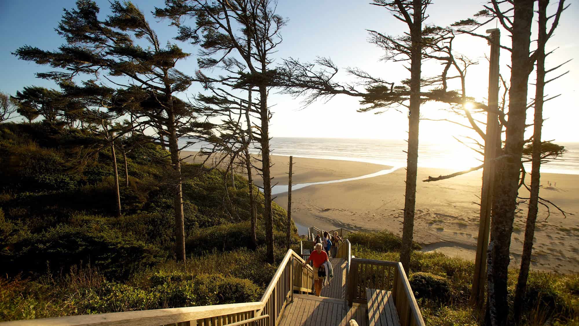 People walk down a wooden staircase toward a sandy beach at sunset, with tall trees framing the scene and a small creek flowing into the ocean.