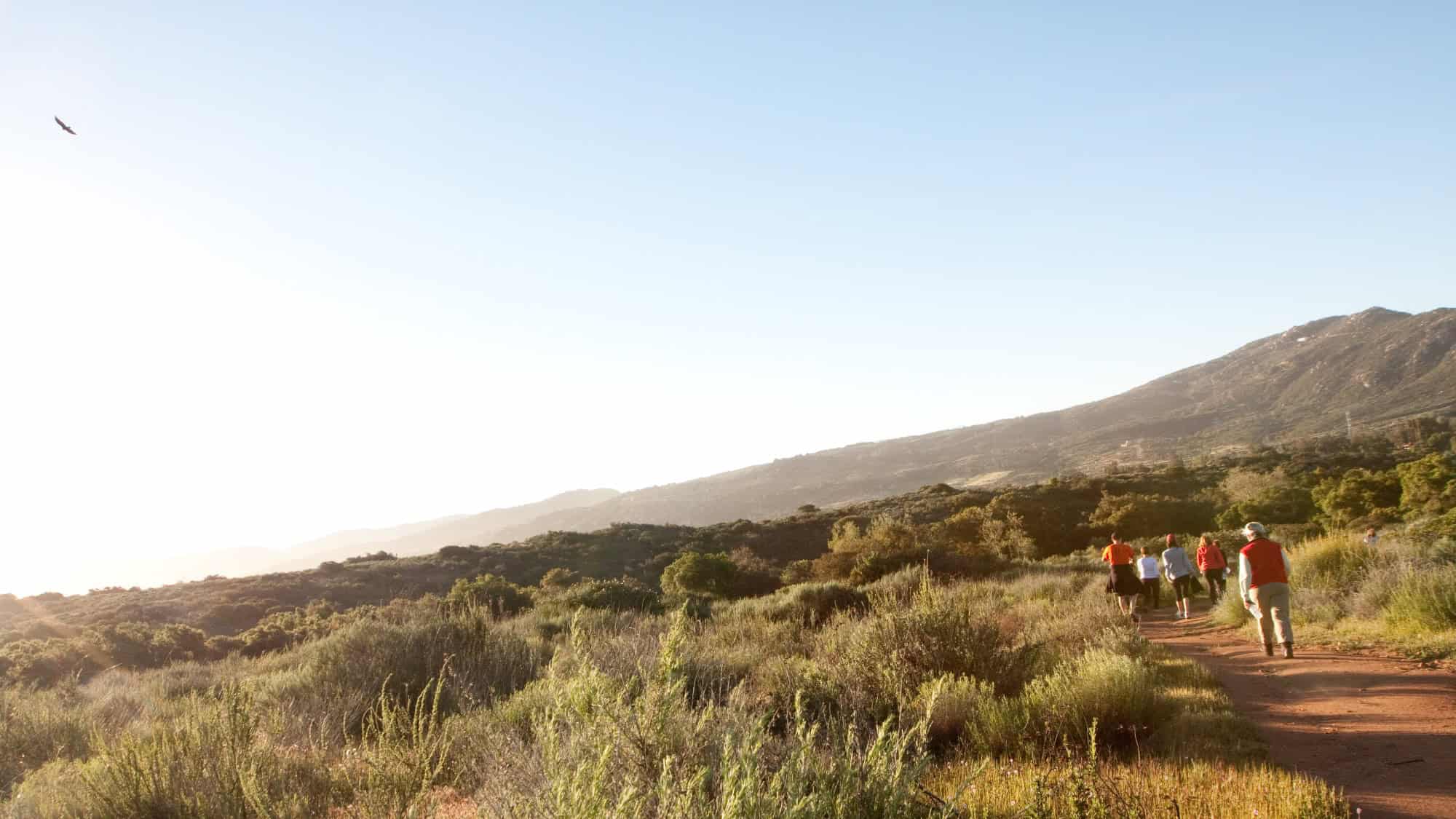 A group of people walk along a dirt trail through green shrubs with mountains in the background under a clear sky.