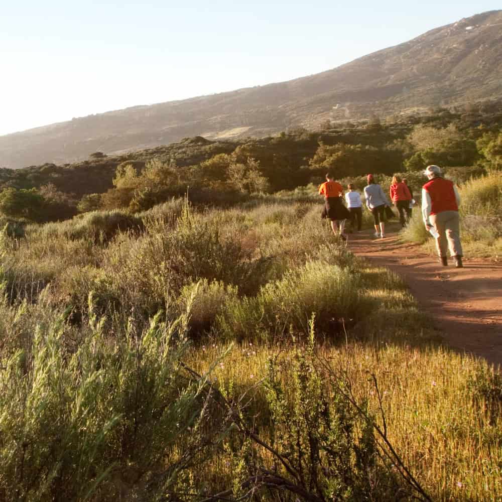 The Power of a Long Weekend at Rancho La Puerta