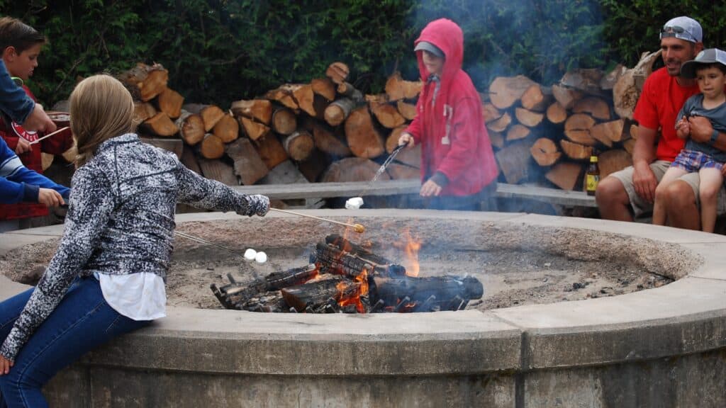 Several people sit around a fire pit, roasting marshmallows on sticks. Stacked firewood is visible in the background, and there is smoke rising from the fire.