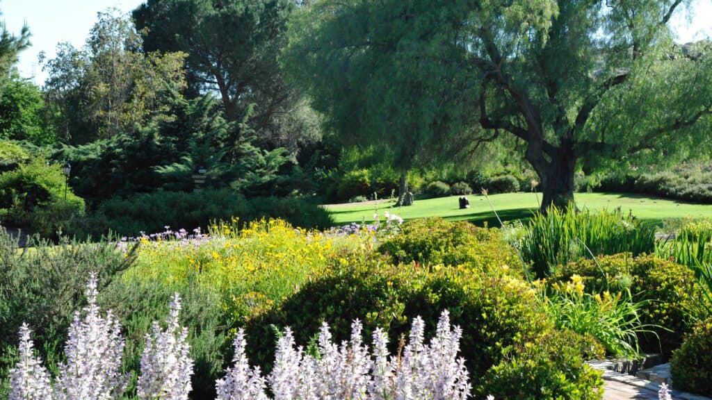 A landscaped garden with flowering shrubs, tall trees, green grass, and sunlight casting shadows across the lawn.