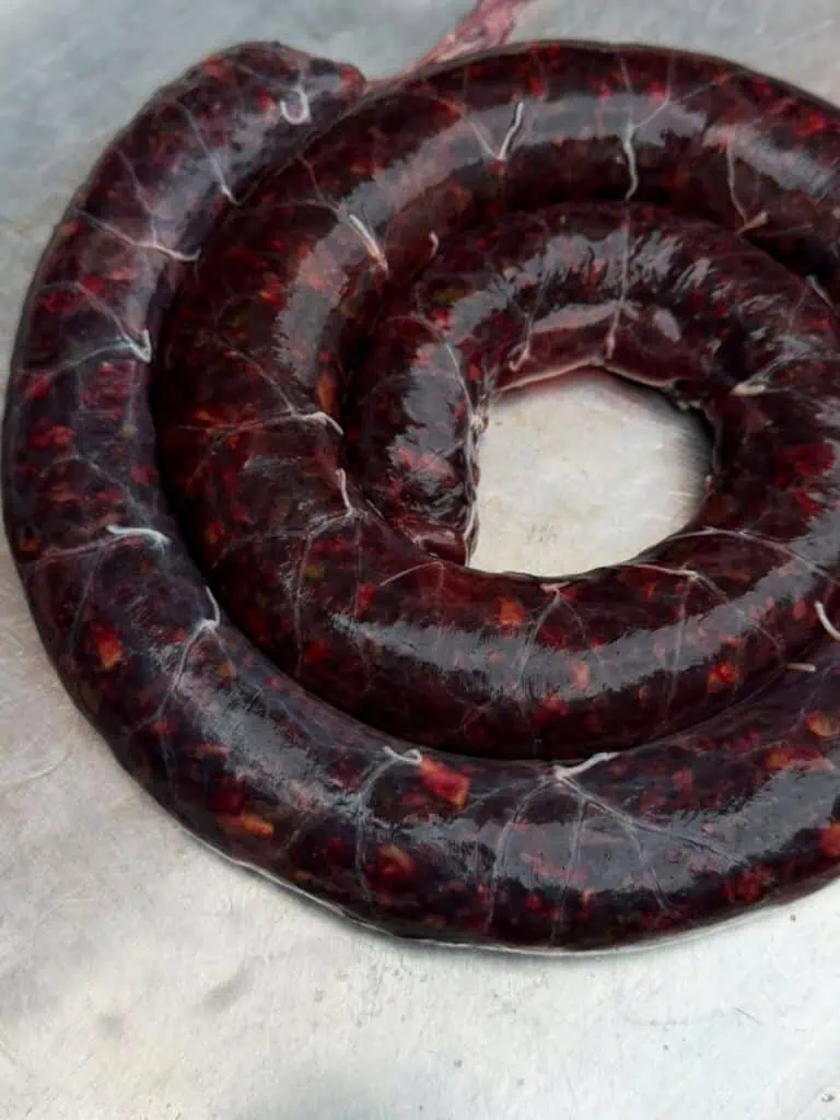 A coiled, dark-colored sausage filled with blood and meat sits on a metal surface—an authentic House Special from Busan Jeong, perfect for enjoying in a comforting bowl of Soondae Gukbap.
