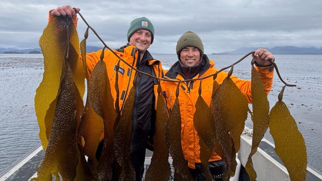Two people in orange jackets stand on a boat, each holding an end of a large strand of Alaska kelp, with cloudy skies and water in the background.