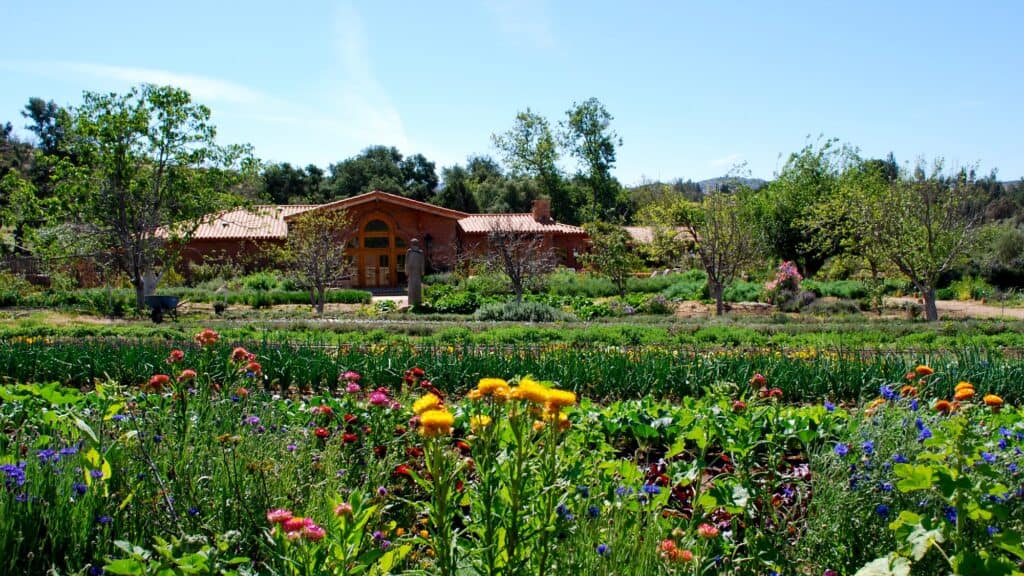 A garden with colorful flowers and green plants is in front of a rustic house with a red-tiled roof under a clear blue sky.