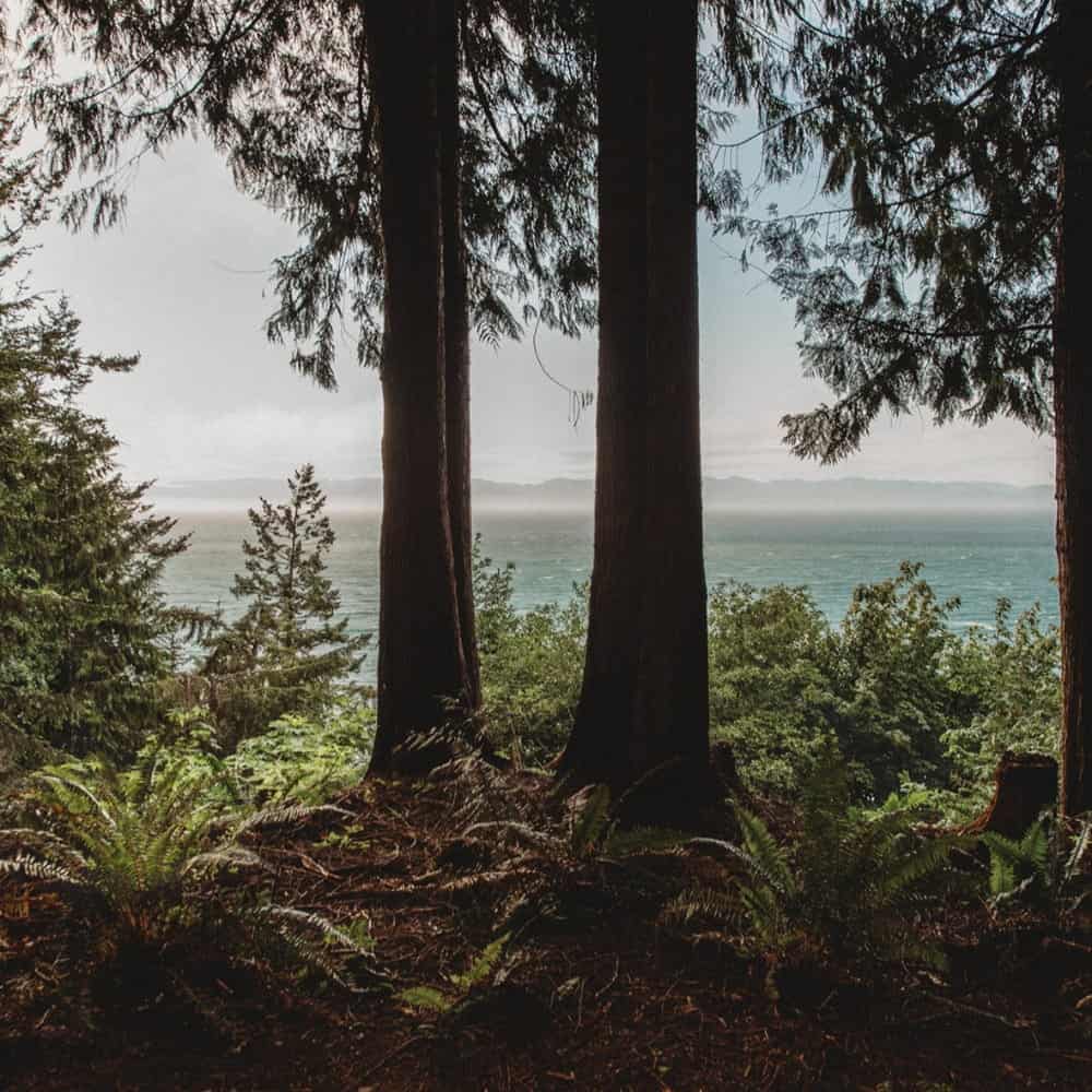 A Wellness Pilgrimage to the Olympic Peninsula