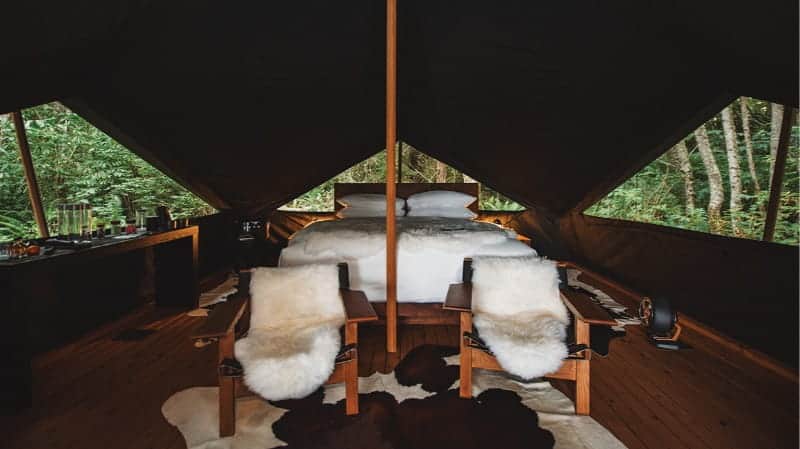 Interior of a luxury tent featuring a bed with white linens, two wooden chairs with sheepskin covers, cowhide rugs, and outdoor views through open tent flaps—offering the perfect setting for luxury glamping in Washington State.