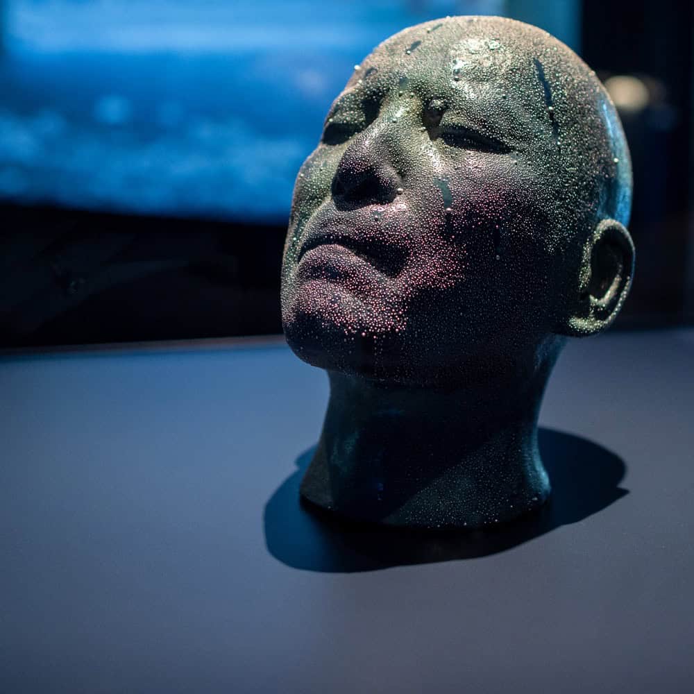 Rearview Mirror: Storytellers in Clay, Wild Seattle, and an Alaskan Feast I'll Never Forget