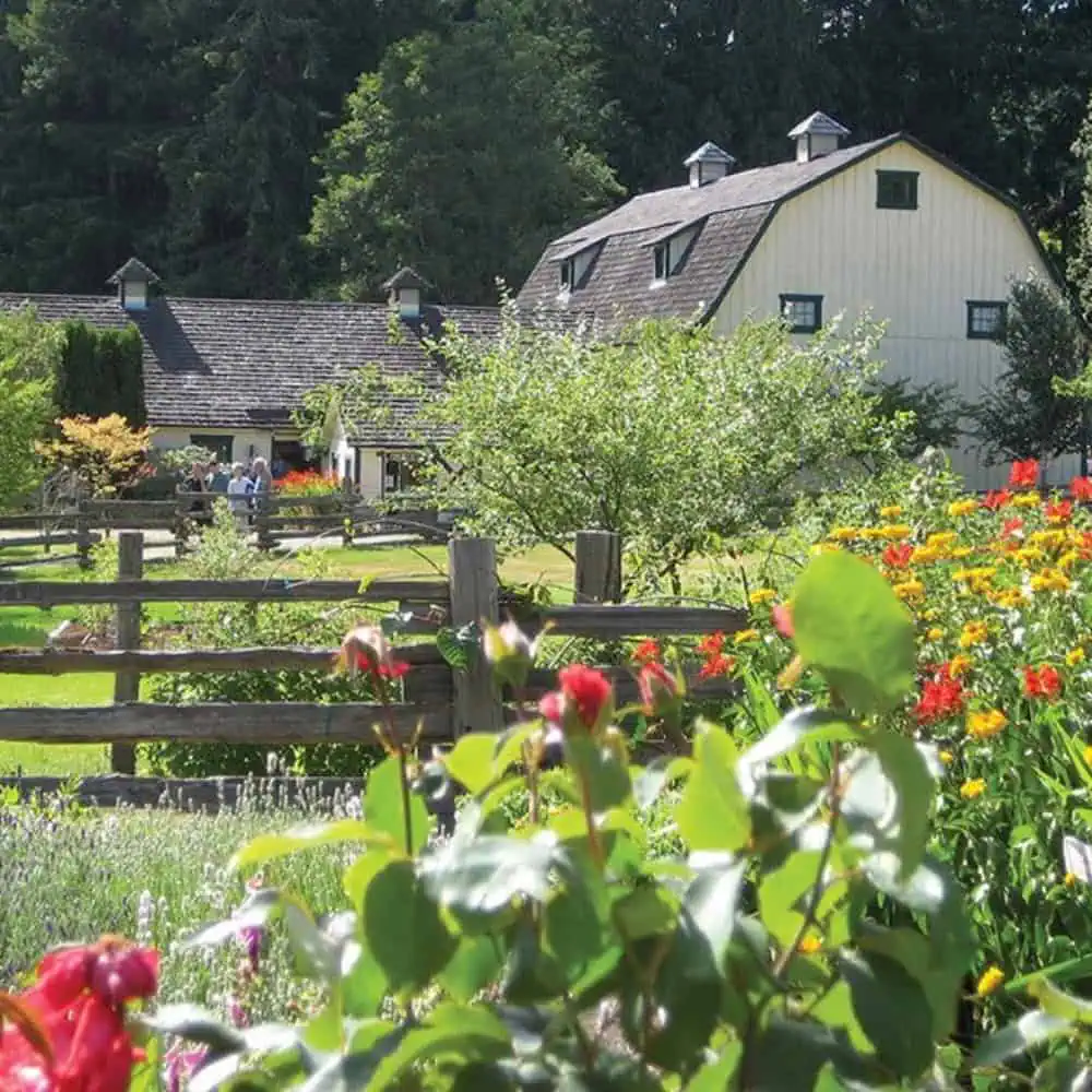 A Historic Quilcene Farm Finds Its Rhythm