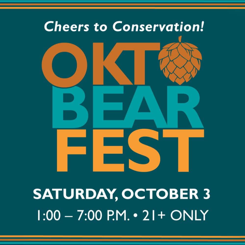 Autumn Brews and Winter Views: Your Guide to Woodland Park Zoo’s 21+ Season