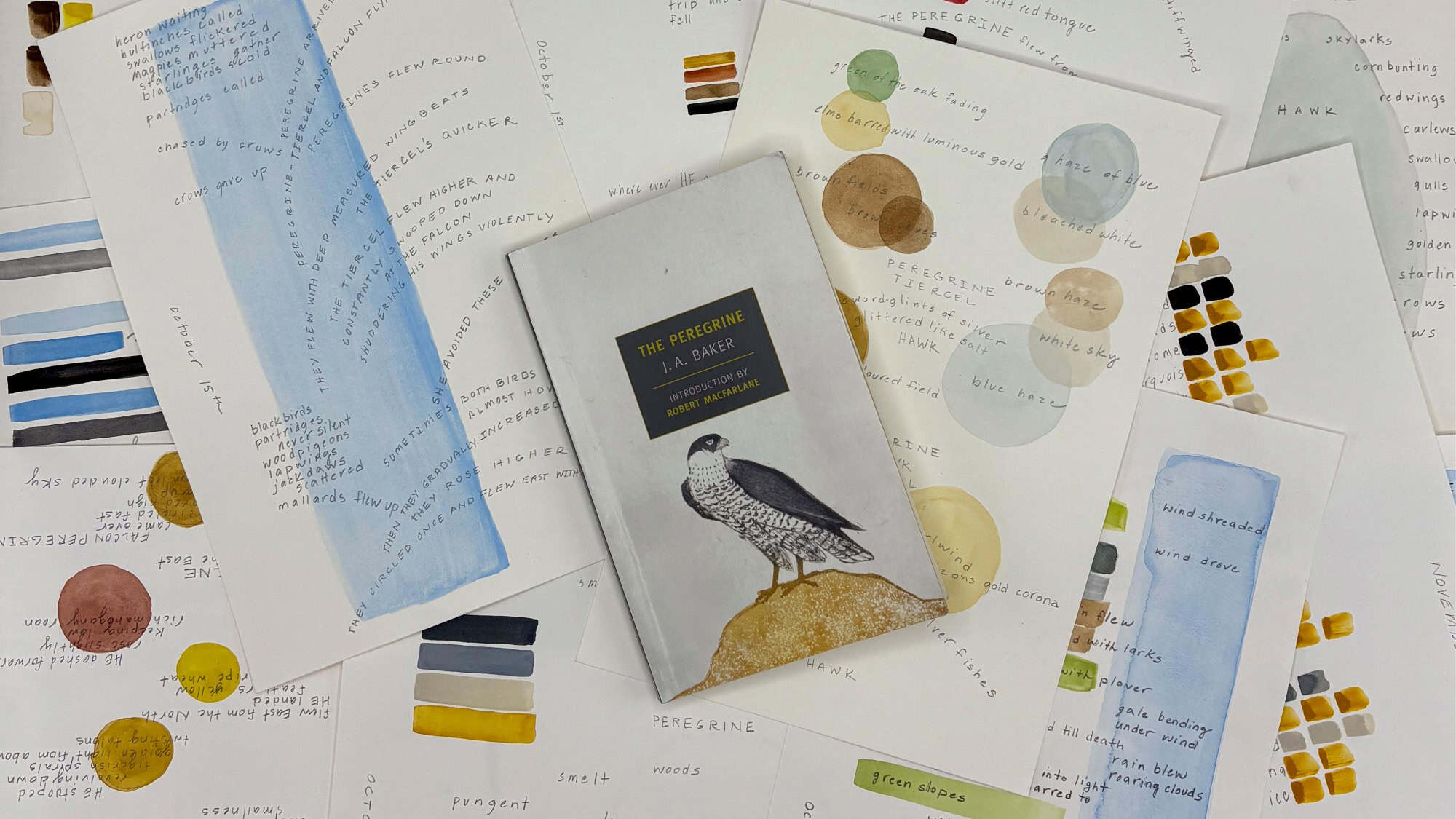 A book titled “The Peregrine” lies on top of several sheets featuring watercolor swatches, painted lines, circles, and color notes.