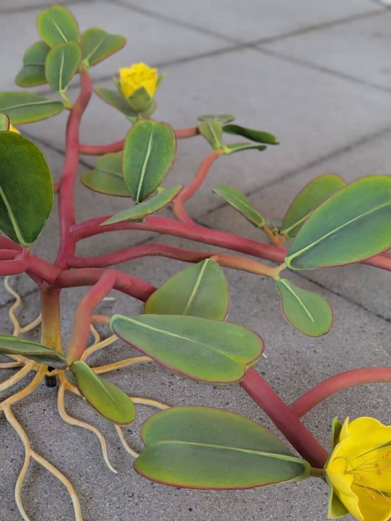 A plant with red stems, green oval leaves, yellow flowers, and exposed roots rests on a gray tiled surface.