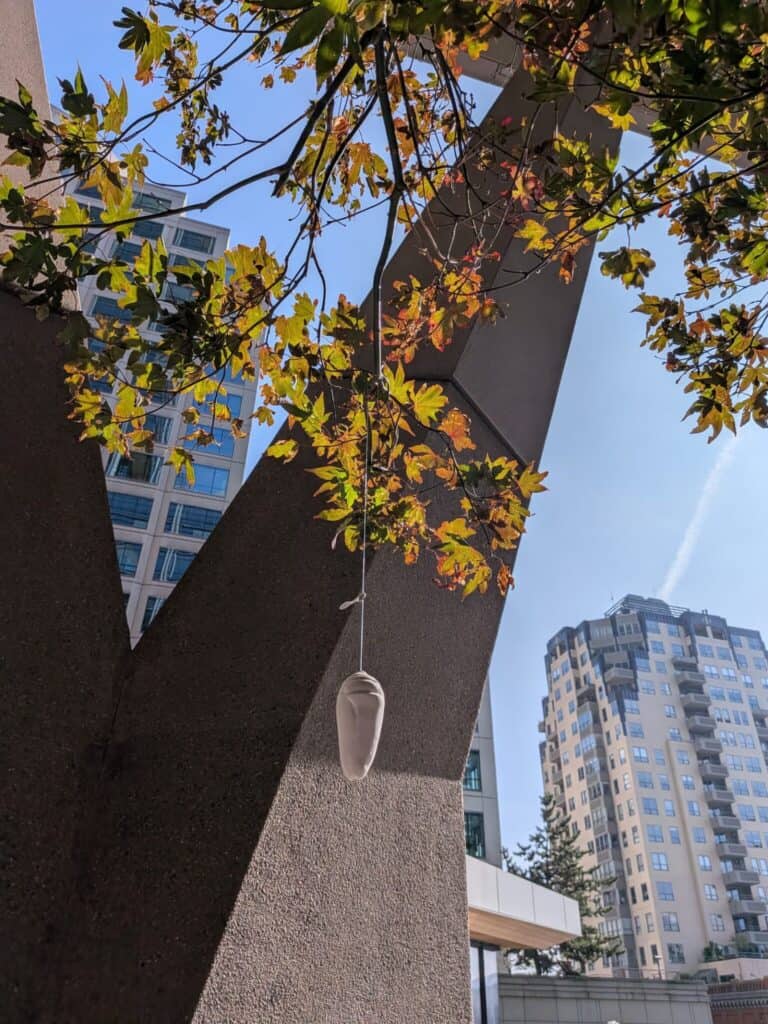 A white face mask hangs from a tree branch in front of tall buildings on a sunny day.