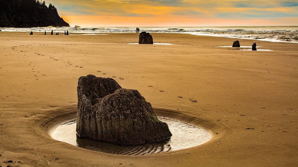 Large tree stumps sit in wet sand on a wide, empty beach at sunset along the Oregon Coast, with the ocean and a distant shoreline visible in the background—an inviting scene often discovered during a Lincoln City road trip.
