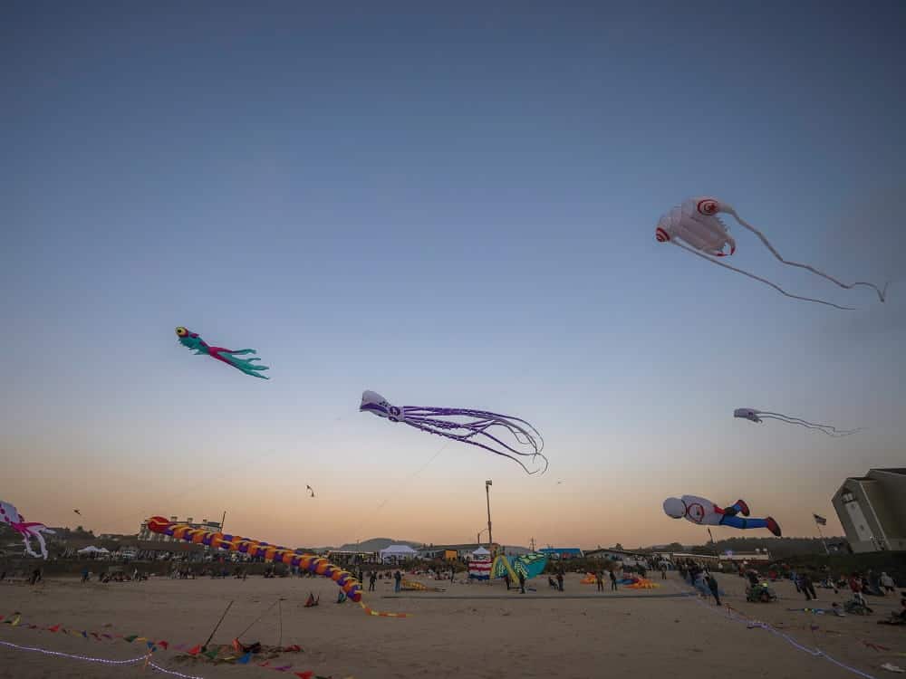 Colorful kites shaped like sea creatures and other designs fly over a sandy beach at sunset, with people gathered in the background—capturing the vibrant spirit of an Oregon Coast road trip through Lincoln City during Oregon fall travel.