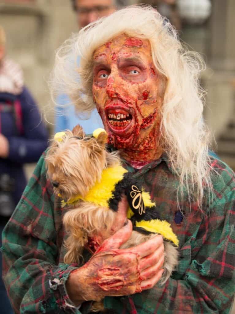A person in Seattle zombie makeup and a plaid shirt holds a small dog dressed in a bumblebee costume.