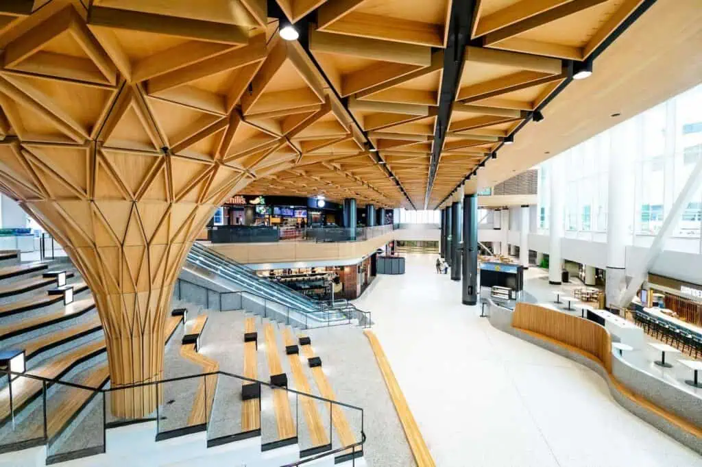 Interior view of a modern airport terminal featuring a large, branched wooden structure over tiered seating and an escalator leading to an upper level with dining areas.