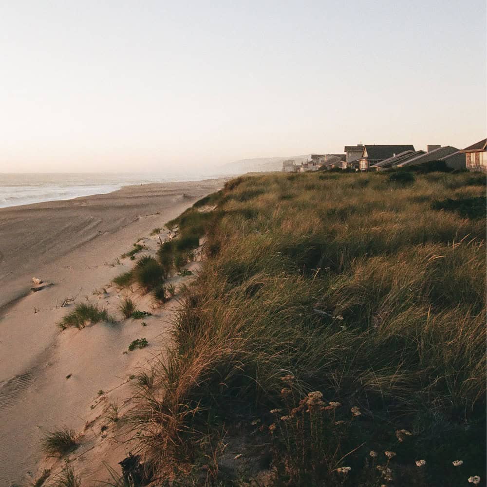 A grassy sand dune overlooking a beach and houses along the Oregon Coast road trip.