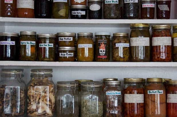How to Preserve Your Foraged Bounty