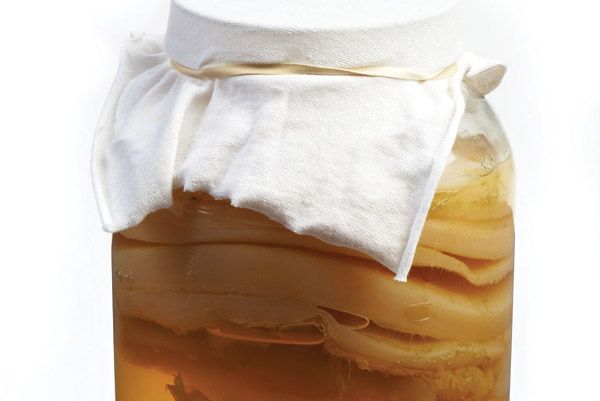 DIY Kombucha Kit
