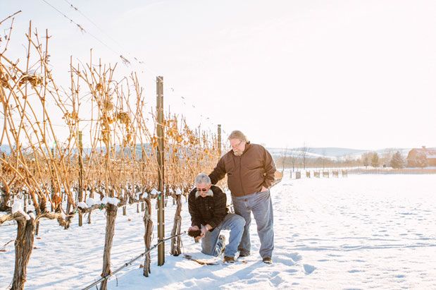 Tulpen Cellars Takes on Dry Farming of Wine Grapes