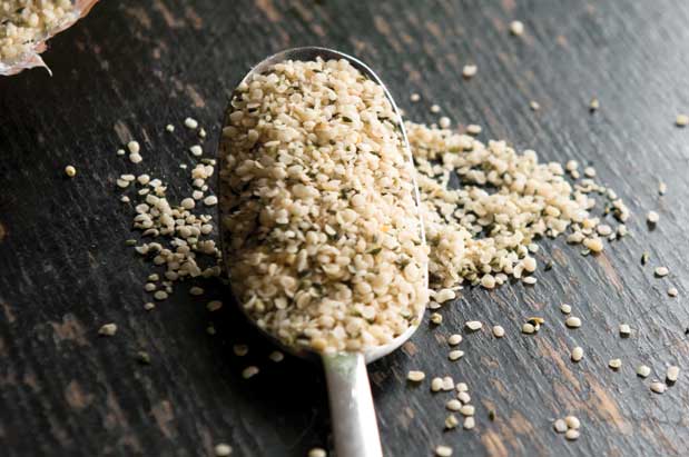 How to use Hemp Seeds in Your Cooking