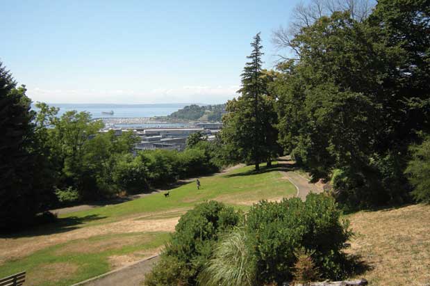 14 Close-to-Seattle Off-Leash Dog Areas