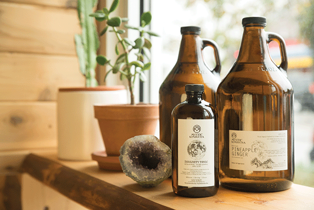 Kombucha, Youbetcha: Seattle's Fermented Tea Scene Is Fizzing