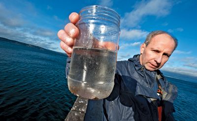 Ocean Acidification: Global Warming's Doppelgänger