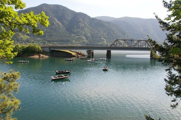 It's Prime Time to Fish for Spring-Run Chinook Salmon
