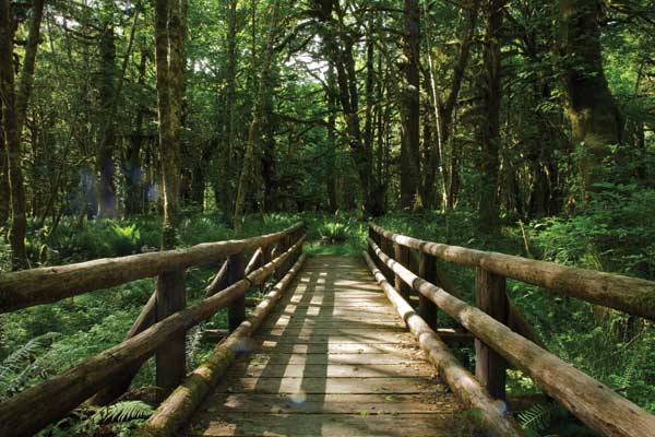 Real Road Trips: A Weekend Jaunt to the Olympic Peninsula