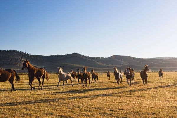 Real Road Trips: Discover Oregon's Outback