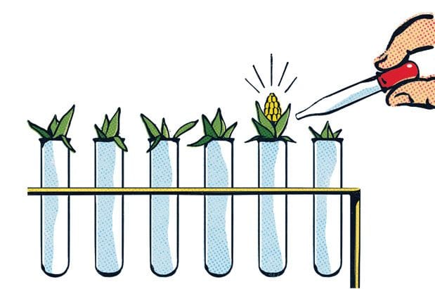 Test-Tube Food