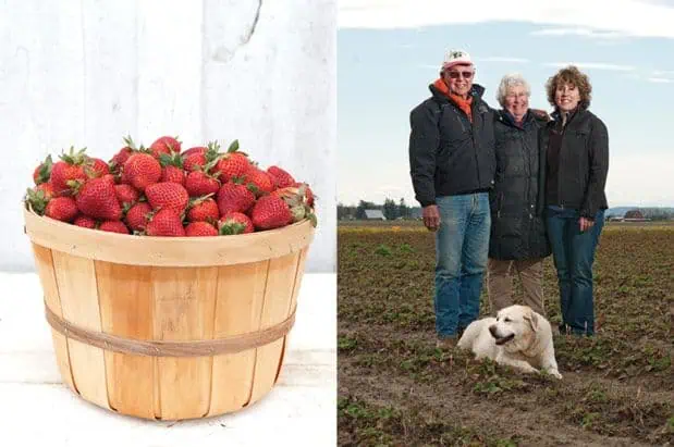Pick the Schuhs' Berries