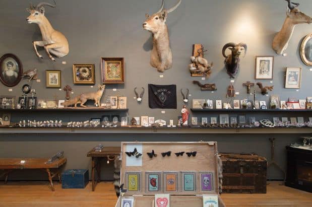 Where to Find Antiques and Oddities Around Seattle