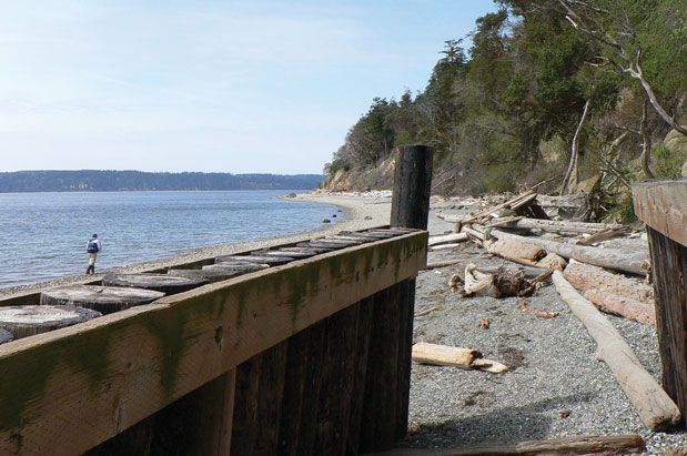 Camano Island: Your Next Cozy Beach Getaway