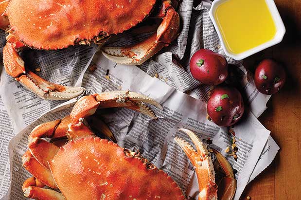 A Field Guide to Crab