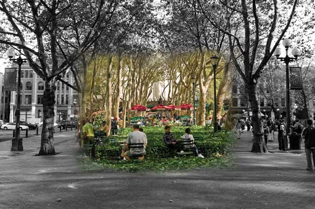 Downtown Seattle Parks: Can a Private Company Save Them?