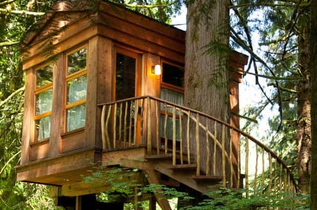 New Book from 'Treehouse Masters' Star Explores Tree House Design