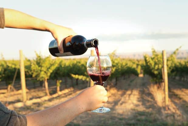 Tasting the Elusive Tempranillo